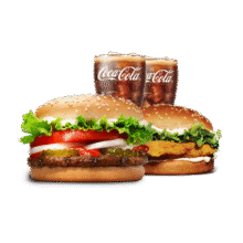 汉堡王 鸡牛双堡饮料4件套 单次券 到店兑换电子券16.9元（需领券）