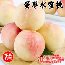 京世泽 蛋枣水蜜桃5斤装 当季脆桃新鲜桃子水果水蜜桃券后24.9元