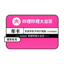哔哩哔哩 bilibili 12个月+赠1个月 大会员直充105.94元+12.06元淘金币（需领券）