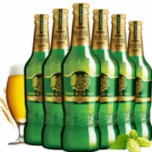 青岛啤酒 经典1903奥古特12度啤酒玻璃瓶480mL*6瓶*2件 赠扎杯￥92.10