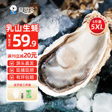 贝司令 乳山福海生蚝鲜活牡蛎海鲜贝类5XL号净重5斤 8+只装 5XL净重5斤30.81元（需买2件，需用券）