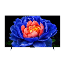 PLUS立减：TCL电视 75V8L Pro 75英寸 144Hz高刷 QLED量子点 3GB+64GB大内存 4K2229.76元（需领券）