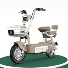 京东百亿补贴、PLUS会员：雅迪 C20 新国标电动车 48V24Ah锂电池 燕麦暖棕返后2544.05元 （下单送20元后）