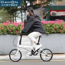 DAHON 大行 YUKI 16英寸单速折叠自行车KT610￥636.49 7.4折 比上一次爆料降低 ￥82.87