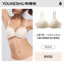 YOUKESHU 有棵树 透气网纱聚拢无钢圈文胸*2件 多色可选新低68.82元包邮（34.41元 /件）