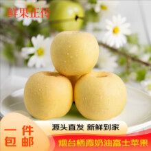 京地达 烟台栖霞奶油富士苹果净重4.5斤 单果约250g 烟台苹果水果源头直发 已售10万+25.8元包邮