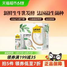 认养一头牛 风味酸牛奶 原味200ml*12盒18.98元