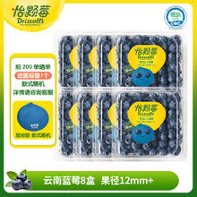 Driscoll's 怡颗莓 云南蓝莓 12mm+8盒装券后47.2元