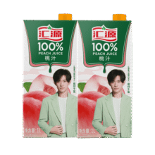 汇源  果汁 100%果汁 1L*2盒 桃汁（尝鲜装） 1L*2盒桃汁35.9元