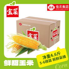 佳农 宝菜山东新鲜水果玉米现摘鲜甜多汁5-6根净重4.5斤源头直发券后16.9元