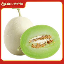 静益乐源 海南玉菇甜瓜 5斤2-3个券后17.9元