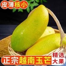 越南玉芒水果芒果新鲜当季应季批发价净重3/9斤13.3元（多人团）