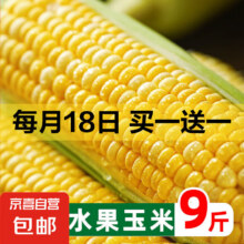 再降价：云南新鲜水果甜玉米 带箱3斤 单根400g+ *2件8.9元（合4.45元/件，买一赠一）