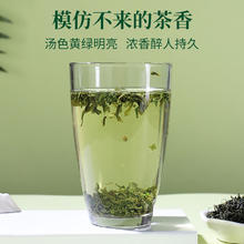 徽六 2025新茶上市 高山手工云雾口粮茶 一级 250g！券后22.8元