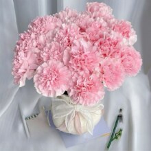 plus会员:京东鲜花康乃馨20枝 送花瓶29.5元（需领券）
