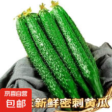 山东 密刺小条黄瓜 3斤 带箱4.44元