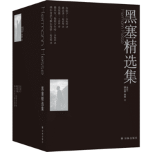 黑塞精选集（套装共5册）(在轮下+德米安：彷徨少年时+悉达多+荒原狼+纳尔奇思与歌尔得蒙)119元 (月销4000+)