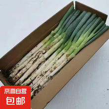 山东铁杆大葱 新鲜甜葱 5斤 带皮去半叶券后6.7元