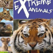 Ready To Read Extreme Animals 准备阅读极端动物 进口原版英文绘本18元