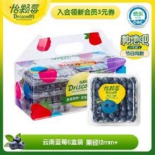 DRISCOLL'S 怡颗莓 云南蓝莓 12mm+ 125g*6盒*3件新低93.21元包邮（5.17元/盒）