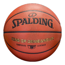 plus会员：斯伯丁（SPALDING）篮球TF系列7号PU比赛室内外兼用耐磨成人青少年 77-176Y123.71元（需领券）