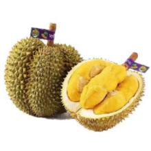 20点开始：芫曦 泰国进口金枕榴莲 4.5kg169.9元 包邮（需用券）