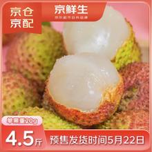 京鲜生 【预售】海南妃子笑荔枝 4.5斤 单果20g+ 新鲜水果69.9元