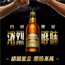 Budweiser 百威 美式拉格黑金啤酒 玻璃瓶 600mL*12瓶65.92元包邮