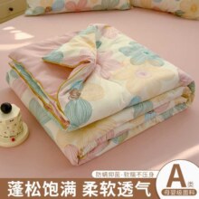 双层纱夏被空调被夏季天薄2025新款夏凉被子可机洗被芯双人49元