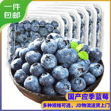 京丰味 云南蓝莓 新鲜国产水果 单果14mm以下 100g-125g/盒 6盒券后24.9元