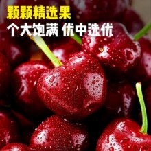 山东大樱桃美早爆汁空运冷链包邮3斤*245.81元/件，共91.62元