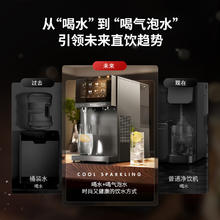 daogrs R7气泡冰饮机 台式净饮机直饮机饮水机家用免安装 气泡水机 制冷即热净水器过滤 石墨灰 国补6833.6元