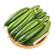 京鲜生  山东荷兰水果黄瓜净重5斤 单果100g14.36元