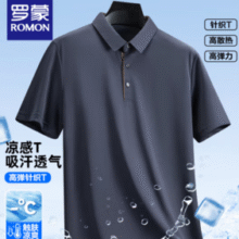 ROMON 罗蒙男冰丝透气 翻领短袖T恤￥29.50 3.3折
