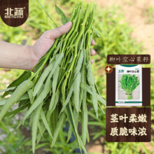 北蔬 空心菜种子 25g约500粒5.86元 plus免运费