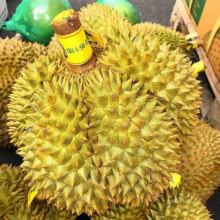 梓颐泰国金枕榴莲新鲜果整箱长柄榴莲金枕头进口A果整个带壳热带水果 商超级|30年老树果 净重单果2.1-3.1斤（包3房）54.9元（需领券）