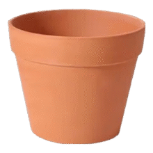 红陶花盆有孔 9X9cm  1个装1.95元（需领券）