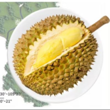 时鲜汇 泰国进口新鲜榴莲 净重4-5斤丨1-2个装119.88元（次日达）