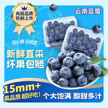 东鲜丰 国产云南蓝莓 花香新鲜水果送礼时令生鲜 100g*4盒券后16.84元