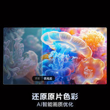 限移动端、单地区、国家补贴、京东百亿补贴：海尔 Haier 55H5C 55英寸144Hz高刷高色域全面屏3+32GB超能效 55英寸 升级款券后1233.76元