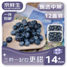 再降价：京鲜生 国产蓝莓 14mm+装 125g/盒  12盒65.1元（需领券）折5.4元/盒