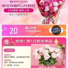 促销活动：PLUS鲜花馆 1元抢购玫瑰鲜花 鲜花绿植PLUS特权520精选，限时上线~