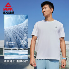 匹克 冰丝速干衣 男士轻薄短袖27.44元+204个淘金币