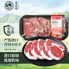 春禾秋牧 阿根廷谷饲100天原切雪花牛排套餐1.2kg眼肉牛肉烧烤健身109.9元