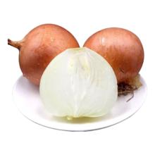 纯甜、好大一个 ！京鲜生 甘肃人参果 净重3斤 单果100g+￥12.72