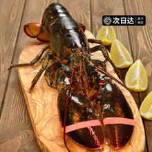 88VIP会员：渔传播 鲜活波士顿龙虾 450g*2只197.6元