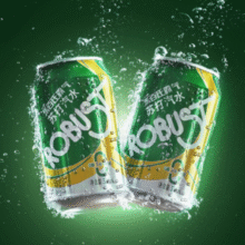 0脂0卡！Robust 乐百氏 霸气 无糖苏打气泡水 330mL*24罐*2件￥50.53 4.0折 比上一次爆料降低 ￥10.63