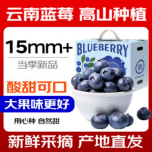 樱鲜 云南蓝莓A+级精选大果15-18mm 【100g-125g】*4盒 多地次日达36.9元包邮（需领券）
