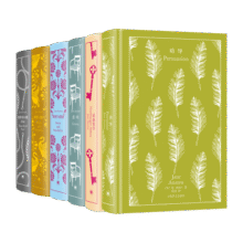 企鹅布纹经典简·奥斯丁作品集（全6册） 小说 京东超级618211.6元 (券后省100,月销1000+)