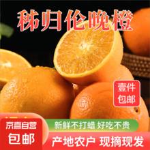 湖北秭归伦晚脐橙 净重4.5斤-单果65MM+17.8元